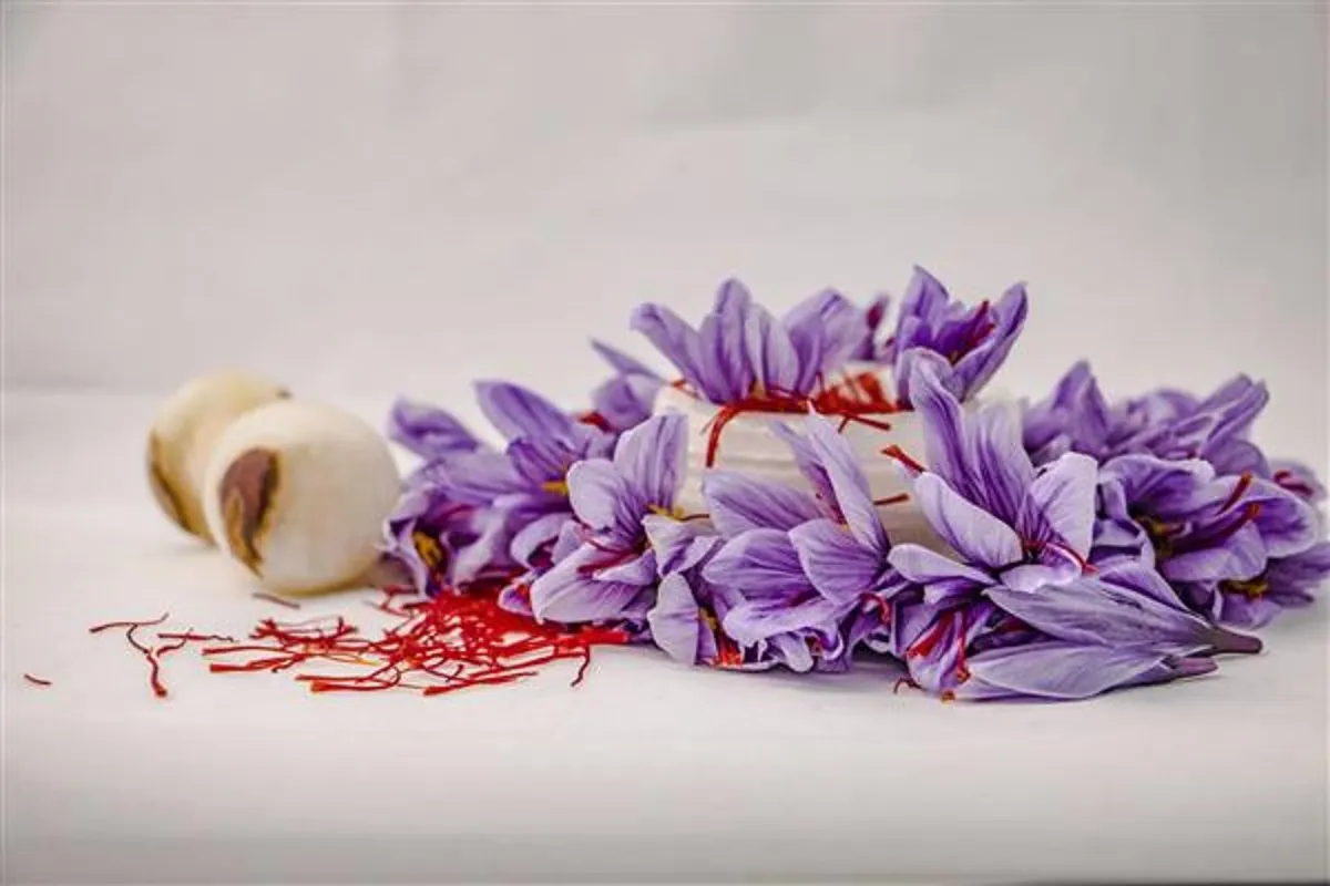 تشخیص و خرید زعفران اصل بسیار آسان نیست